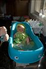 Splish Splash